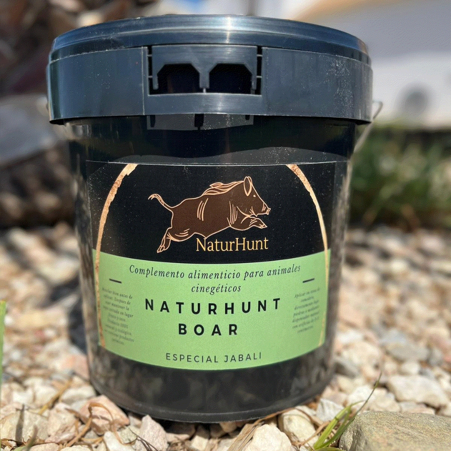 Naturhunt boar